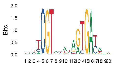 JASPAR - ABF1 - MA0265.2 - profile summary