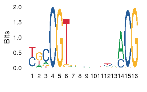 JASPAR - NAC094 - MA2387.1 - profile summary