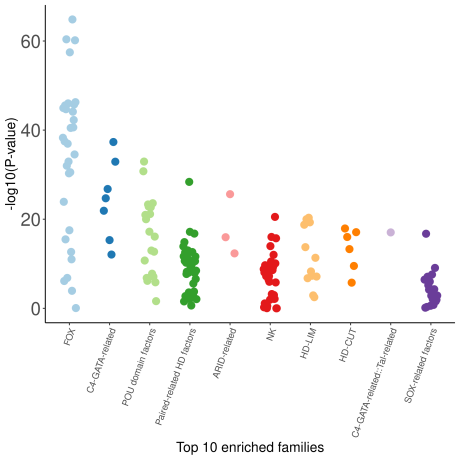 Swarm plot showing the ten most enriched TFs